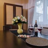 Apartament Premium Borealis Timișoara (5)