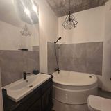 Apartament Ibitza Cluj-Napoca (4)