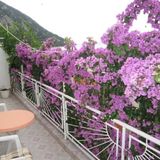 Apartment Graci Gradac (2)