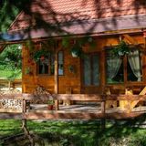 Casa de vacanță Pura Vida - Forest Home Poiana Horea (3)