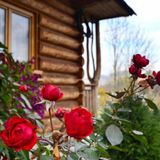 Domki Góralskie Szwajnosówka (3)