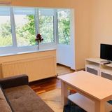 Apartament Joy City Stay Iasi 15 Timișoara (4)