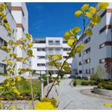 visit baltic - Platan Apartament z balkonem WO13 (5)