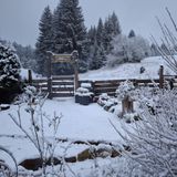 Pensjonat Leśniczówka Zieleniec (3)