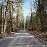 Vendégház Gietrzwałd - PMA099 (4)