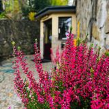 Dom Wypoczynkowy Bajka Krynica Zdrój (4)