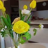 Apartament SilentHome Święta Katarzyna (3)