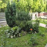 Zsuzsa Apartman Hévíz (4)