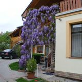 Napfény Apartmanház Eger (4)