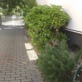 Muszti Apartman Balatonboglár (3)