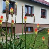 Akácméz Apartman Őriszentpéter (4)