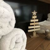 Rigótanya Relax & Wellness Bükfürdő  (5)