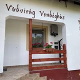 Vadvirág Vendégház Palkonya (5)