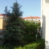 Apartmani D&A Zadar (4)