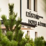 Ezüsthíd Hotel Veszprém (5)