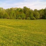 Őrségi Patakparti Alpaka Panzió Kisrákos (5)