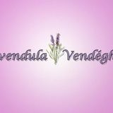 Levendula Vendégház Tiszaszőlős (4)
