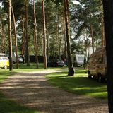Motel Camping Wok Warszawa (4)