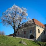 István Király Szálló Pécsvárad (3)