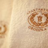 Aparthotel Grodzka21 Kraków (4)