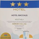 Hotel Bacchus Keszthely (3)