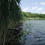 Pájer Kemping és Strand Gyomaendrőd (4)