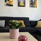 Origo Apartman Eger (4)