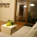 IRS Apartament Olive Suite Gdańsk (3)