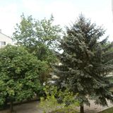 Liget Apartman Pécs (4)