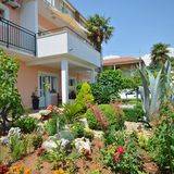 Apartments and Room Zinka Vodice (3)