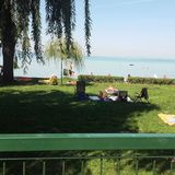 Kati Aranypart Apartman Siófok (4)