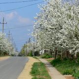 Élő Tisza Vendégház Nagykörű (4)