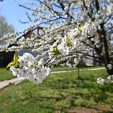 Jázmin Vendégház és Apartman Pogány   (4)