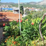 Apartmanok Parkolóhellyel Slano, Dubrovnik - 8540 Slano (5)