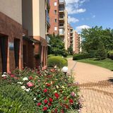 Galérius Kis Apartman Siófok (5)