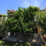 Apartmanok A Tenger Mellett Medencével Viganj, Peljesac - 260 Viganj (5)