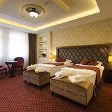 Hotel Dvorana Karlovy Vary (5)