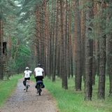 Bike Hostel & Camp Przewóz (4)