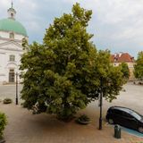 Rynek Nowego Miasta 17/2 (4)