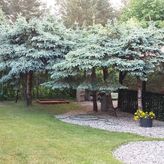 Majorka w Nartach - Domek Jaga (2)