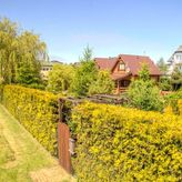 Śmiała 15 Słoneczniki (2)