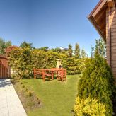 Śmiała 15 Słoneczniki (4)