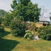 Obykole Stanisława Kowalczyk (2)