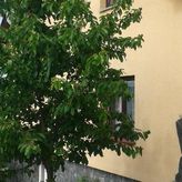 Agroturystyka Beskid (2)