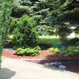 Gospodarstwo Agroturystyczne Paczyńscy (3)