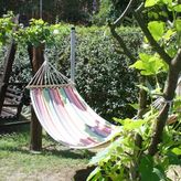 Pokoje Gościnne Pod Winogronem (2)