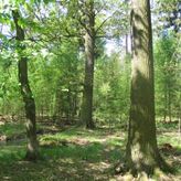 Kwatery u Jędrusia (2)