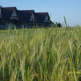 Agroturystyka Obroczanka (3)