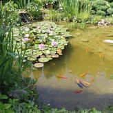 Agroturystyka Urocze Siedlisko (4)