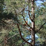 Ośrodek Wczasowy Befared (2)